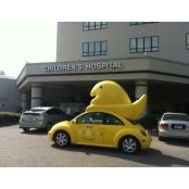 Terry Eld's photo