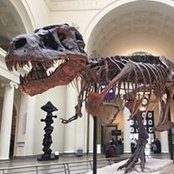 Jeffrey Samson's photo