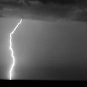 Tracy Cunningham's photo