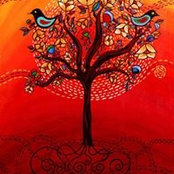 Nancy Vera de Solano's photo
