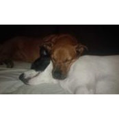 Jane Miller's photo