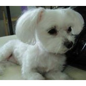 K Chou Wu's photo