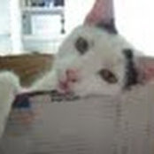 Andrew Slee's photo