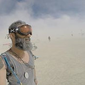 Arash Molavi's photo