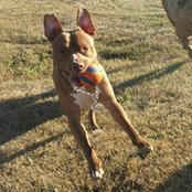 Patrick Reding's photo