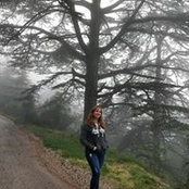 Sarah Daoud's photo