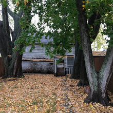 Backyard!