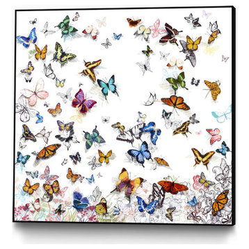 "Papillon" Framed Canvas by Giant Art 30"x30"