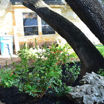 Avery Ranch Residence