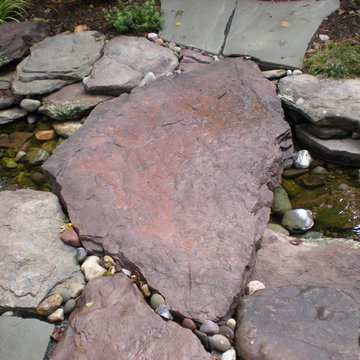 A Pond for the Front Entry