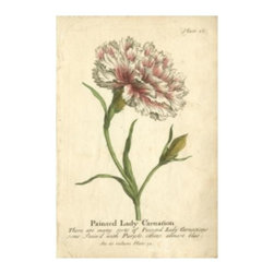 Vintage Carnation - Prints And Posters