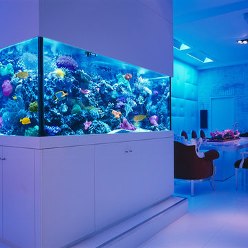 Connecticut Aquarium Lighting Supplies – Upgrade Fish Tank Lighting – Reef Tank