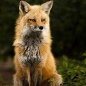 Clare McCormack's photo