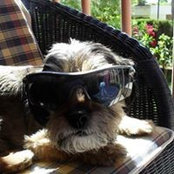Tom Robbins's photo