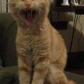 Laurie Hilton's photo