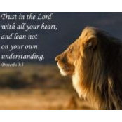 Sherri Bell's photo