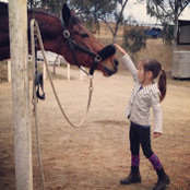 Megan Torres's photo