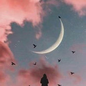 Dina Elbanna's photo