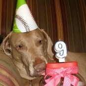 Dorothy Lorenc Mangano's photo