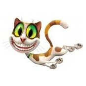 Kimberly Curtin's photo