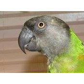 Alice Denney's photo