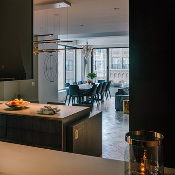 Manhattan Apartment