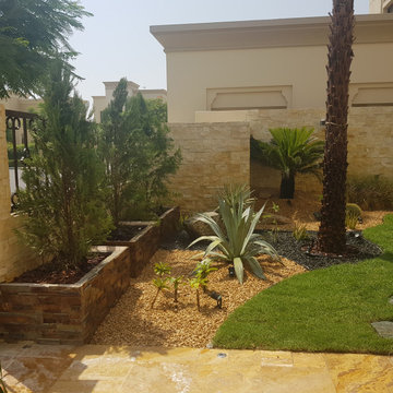 Swimming pool and landscape