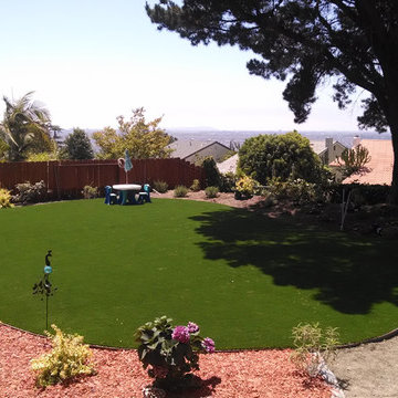 Verdant Residential Artificial Turf [San Diego, CA]