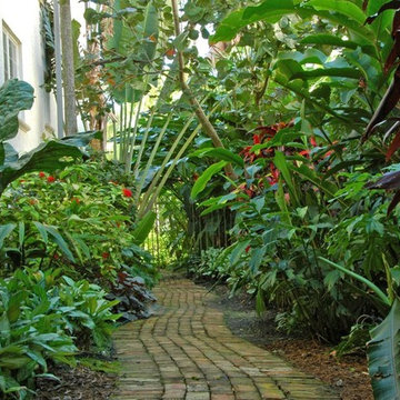 Mediterranean Landscape Design Miami