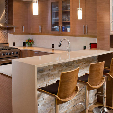 Vail Colorado Modern Kitchen Remodel - Echo Wood Veneer
