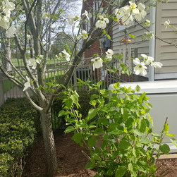 Automatic Standby Generator - Outdoor Products