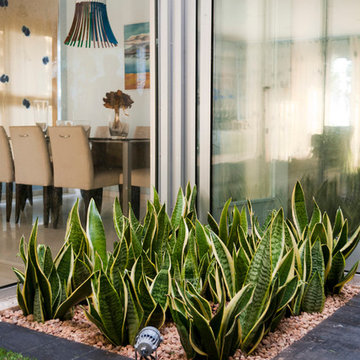 Terrario para tortugas en patio interior