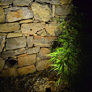 Un jardin original à Toulon
