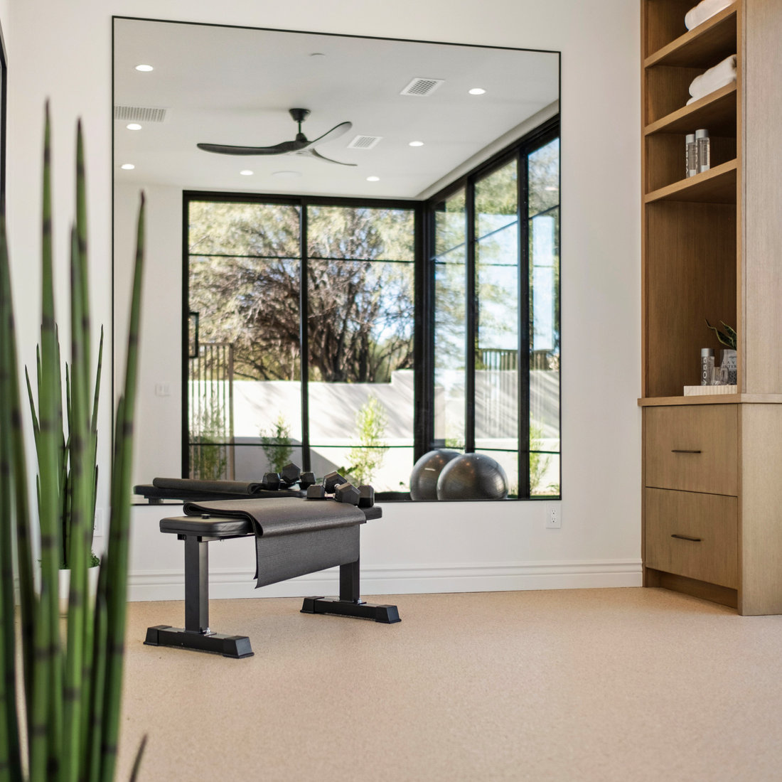 Cactus Wren | Luxury Staging