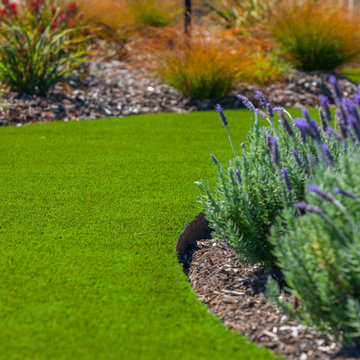 Time-Saving Oasis: How SmartGrass Redefined retirement on the Kapiti Coast