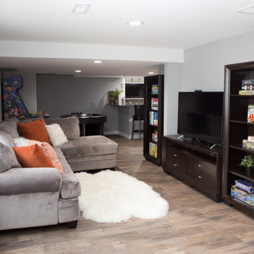 Kid-Friendly Basement in Elgin