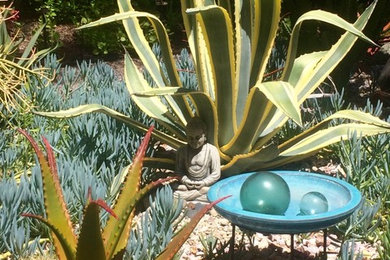 Inspiration for a mediterranean backyard full sun garden in San Diego.