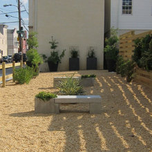 Garden Ground Cover