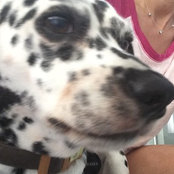 Francine Basson's photo