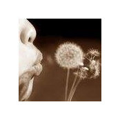 Majorie Poulin's photo