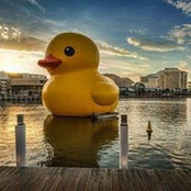 Foto de Saarim Sadiq
