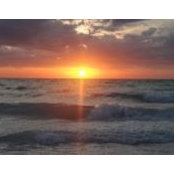 robinlyle's photo