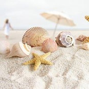 Diane Rau's photo