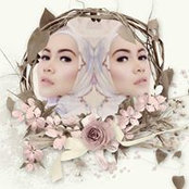 Foto von Amy Wulan