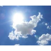 Andrea Vosskuehler's photo