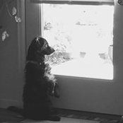 Bonnie Moore's photo