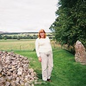 Val Wilkinsons billede