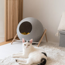 Chat