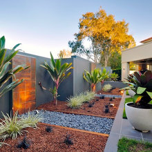 Marbu back yard