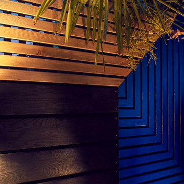 Tiny courtyard garden, Acton